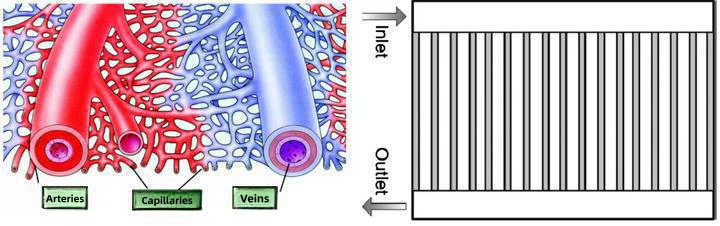 Functions of bipolar plates Functions of bipolar plates