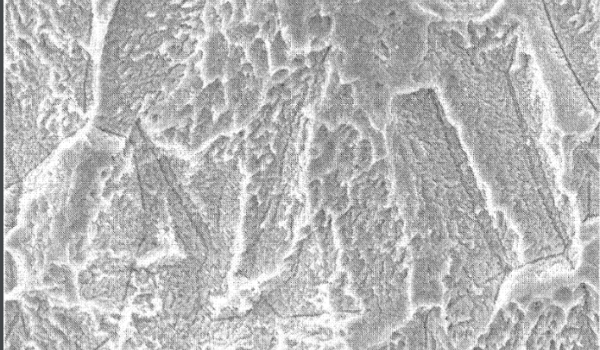 Pure titanium mesh surface treatment1 Pure titanium mesh surface treatment1