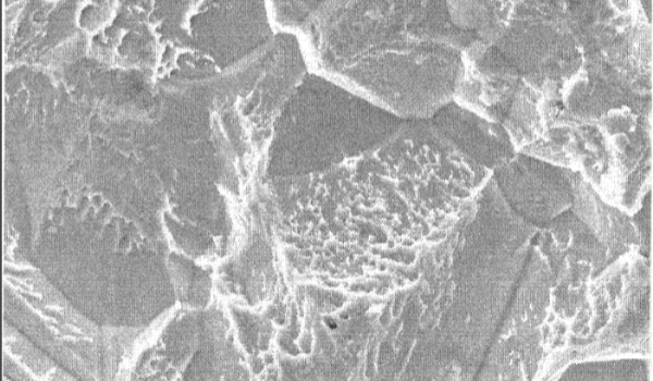 Pure titanium mesh surface treatment2 Pure titanium mesh surface treatment2